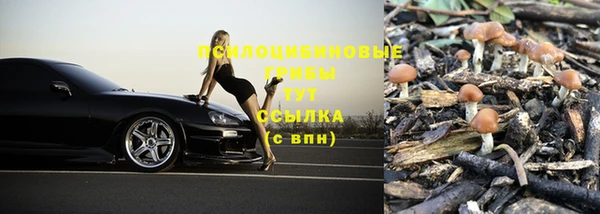 прущий лед Белоозёрский