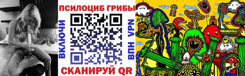 где можно купить   Воронеж  мориарти телеграм  Галлюциногенные грибы Psilocybine cubensis  omg  